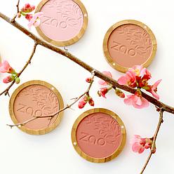 https://s3.eu-west-3.amazonaws.com/shopinvader-demo-public-assets/cosmetika/compact-blush_248_248-72916.jpg
