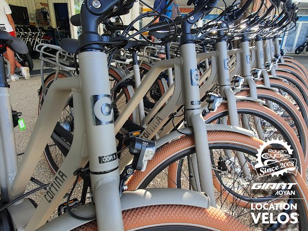 Royan by Cycles - Photo 4