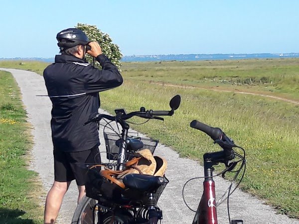 Cycle Elec - Photo 3