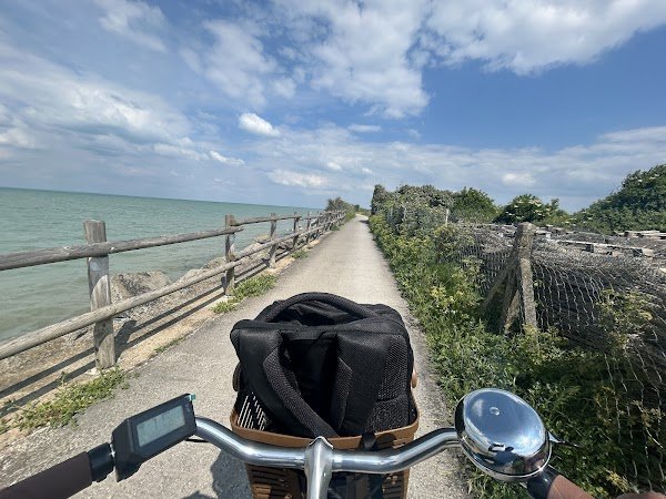 Beach Bikes - Photo 2