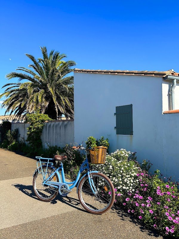 Beach Bikes - Photo 4