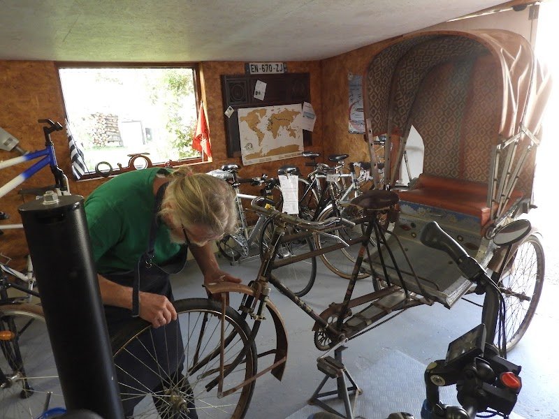 Cyclo-Optères