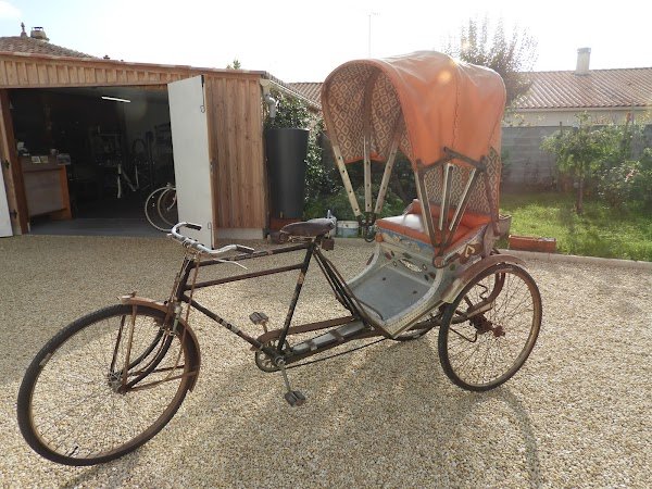 Cyclo-Optères - Photo 5