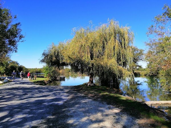 Vélos GAILLARD - Photo 3
