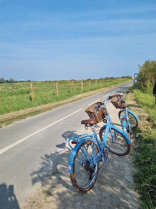 Beach Bikes Ars-en-Ré - Photo 4