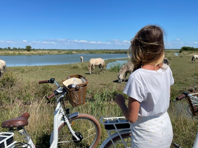 Les vélos de La Manade