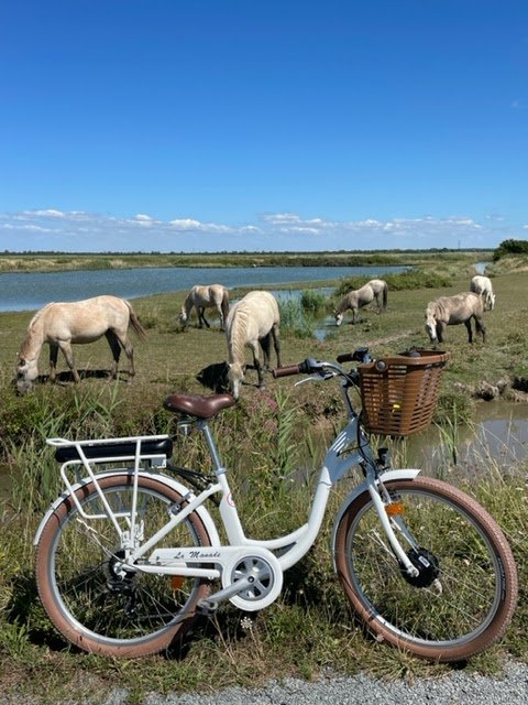 Les vélos de La Manade - Photo 2