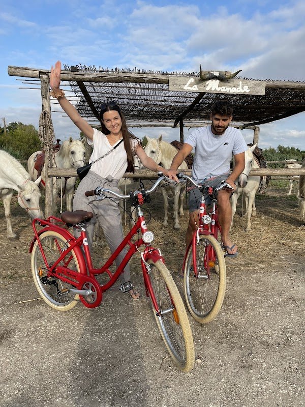 Les vélos de La Manade - Photo 3