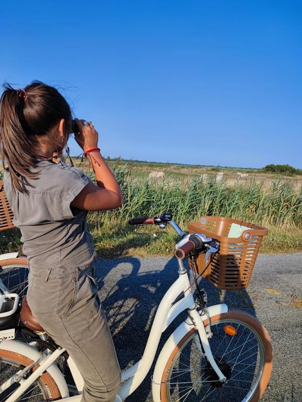 Les vélos de La Manade - Photo 4
