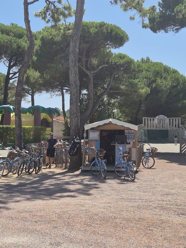 Beach Bikes Le Bois-Plage-en-Ré – Camping Le Suroît - Photo 3