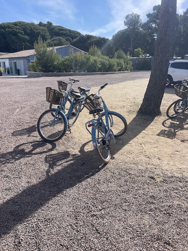 Beach Bikes Le Bois-Plage-en-Ré – Camping Le Suroît - Photo 4