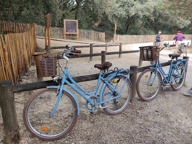 Beach Bikes Le Château-d'Oléron