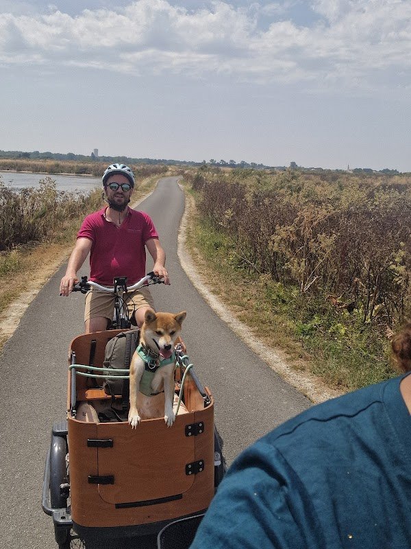 Les Vélos de Margaux - Photo 2