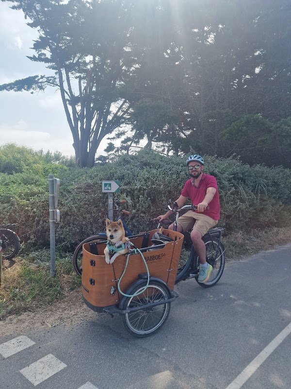 Les Vélos de Margaux - Photo 3