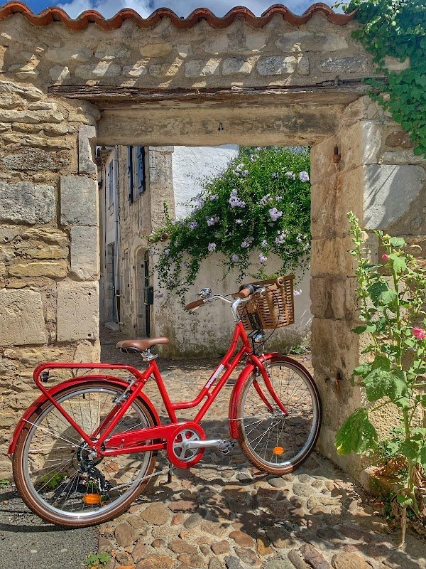 Les Vélos de Margaux - Photo 4