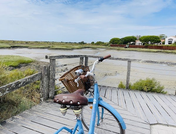 Beach Bikes La Couarde-sur-Mer – Avenue du Mail - Photo 3