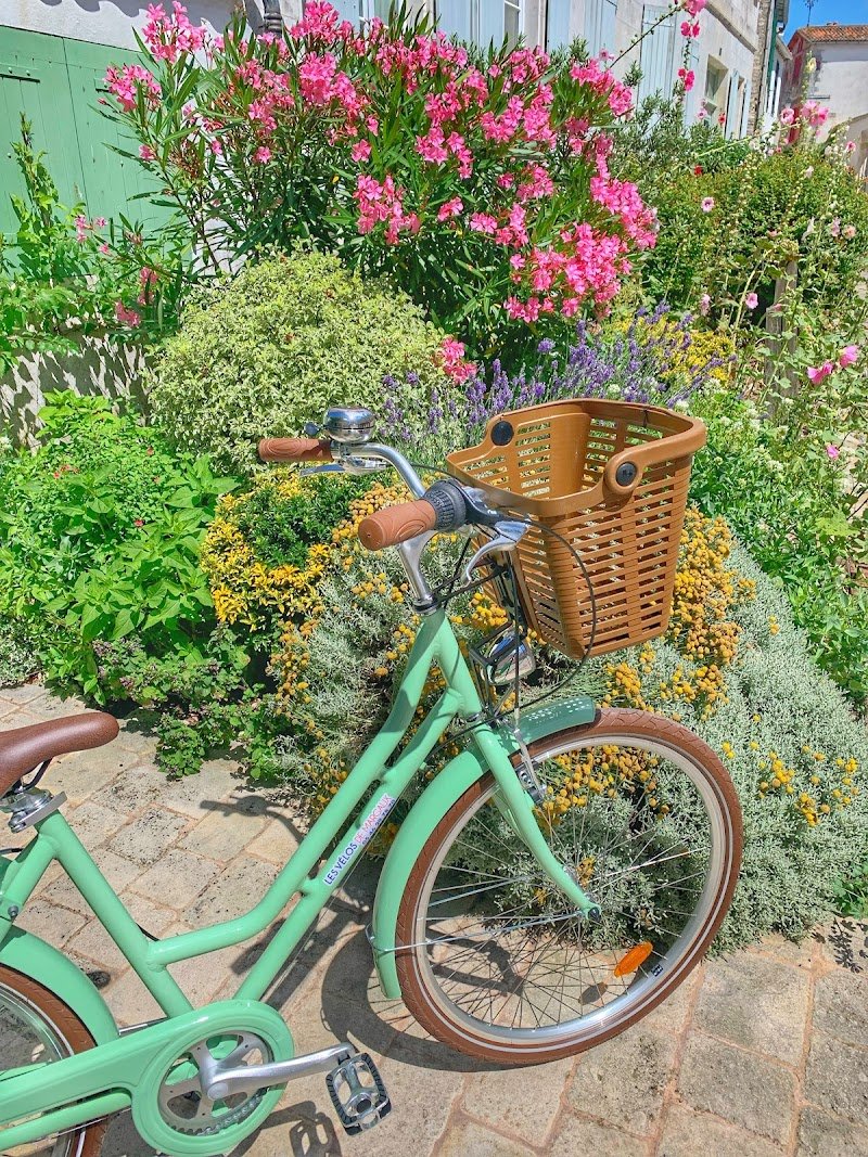 Livraison de vélo sur l'Ile de Ré - Les Vélos de Margaux
