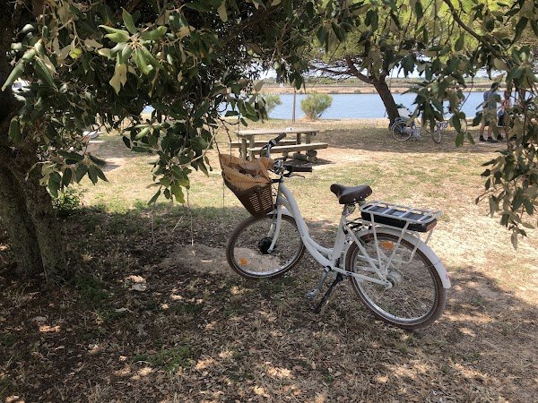 Livraison de vélo sur l'Ile de Ré - Les Vélos de Margaux - Photo 3