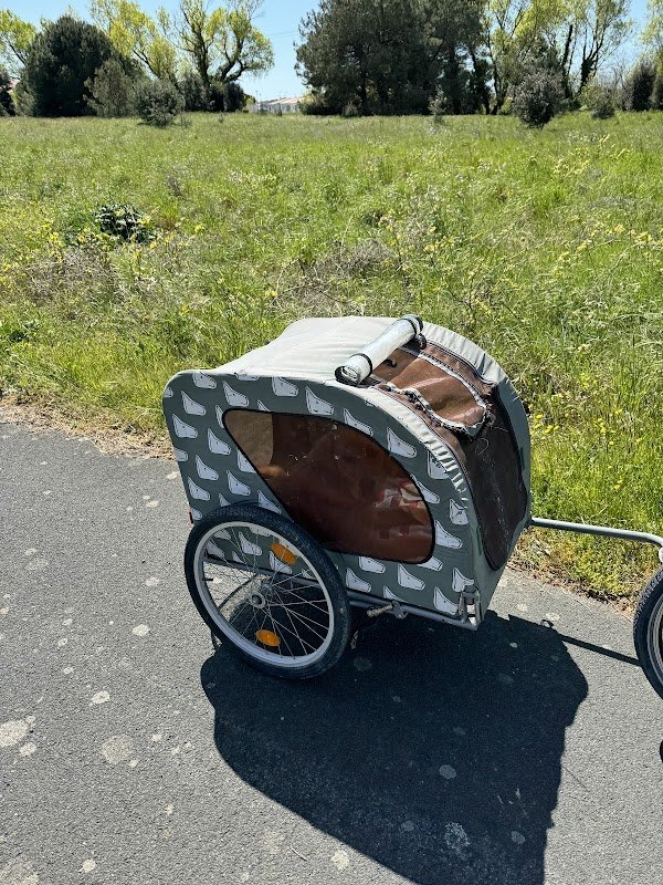 Road Cycling - Photo 3