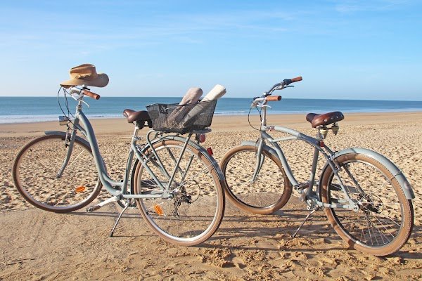 Les Vélos de l'île de Ré - Saint Martin de Ré - Photo 3