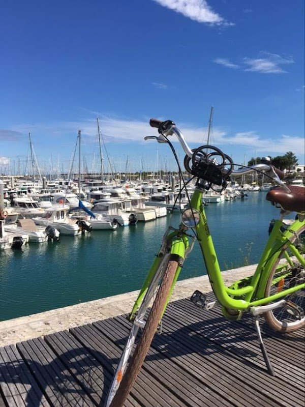 Location de vélos Oleron- Greenbike - Photo 5