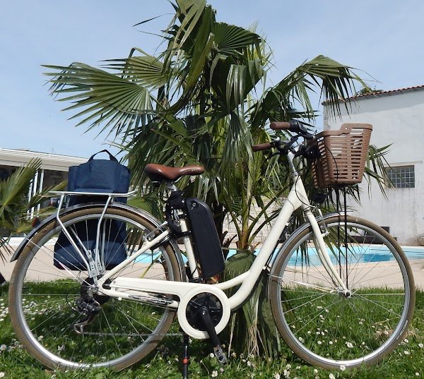 Les Vélos de la Seudre - Photo 3