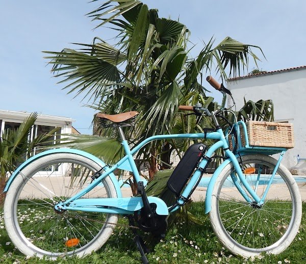 Les Vélos de la Seudre - Photo 4