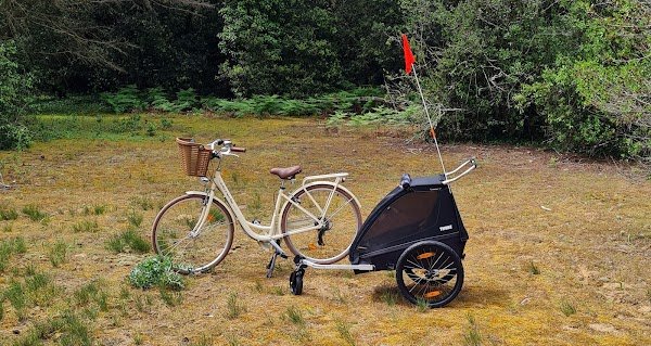 Les Vélos de Sainte Marie - Photo 2
