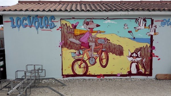 Bike rental - Photo 2