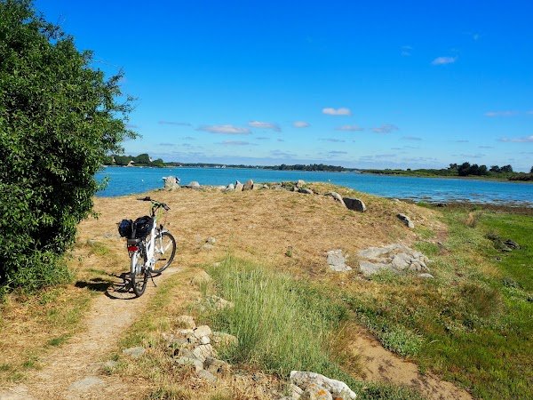 Les vélos de la Ria - Photo 5