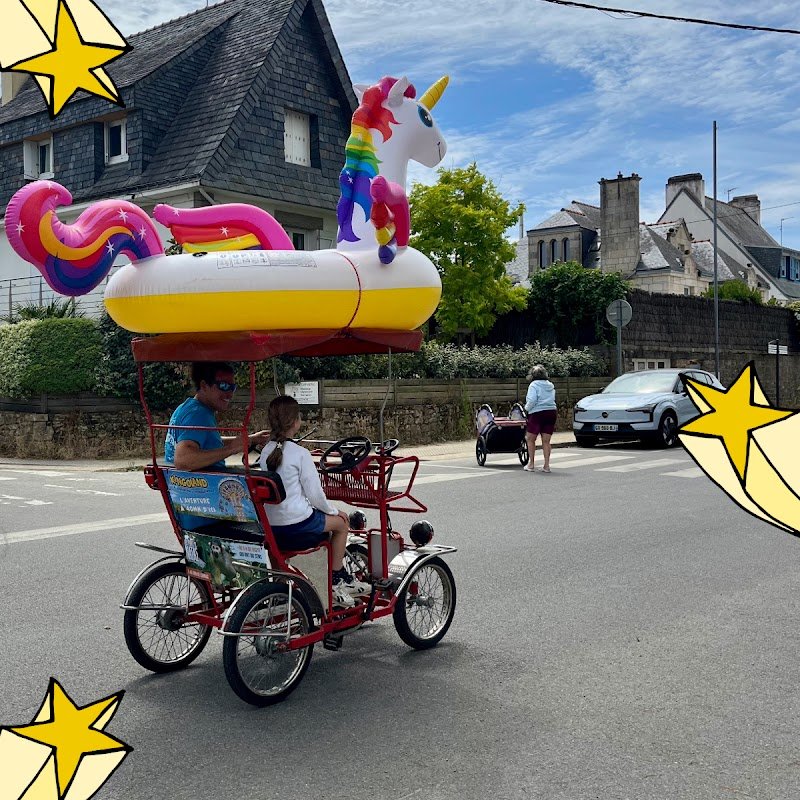 À Bicyclette Carnac-Plage : Location, vente et réparation de vélos & Rosalies