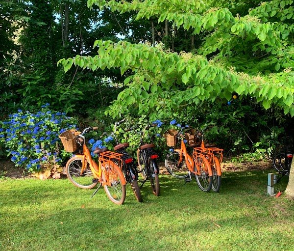 À Bicyclette Carnac-Plage : Location, vente et réparation de vélos & Rosalies - Photo 3