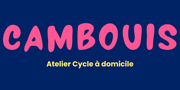 Cambouis - Atelier Cycle Mobile - Photo 3