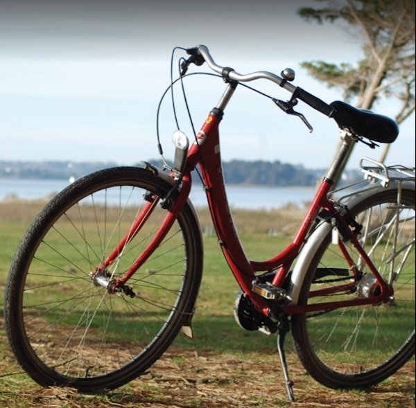 Veloc'Ouest by Marie la Fée Endormie - Livraison de vélos Réservation en ligne - MUZILLAC - Photo 3