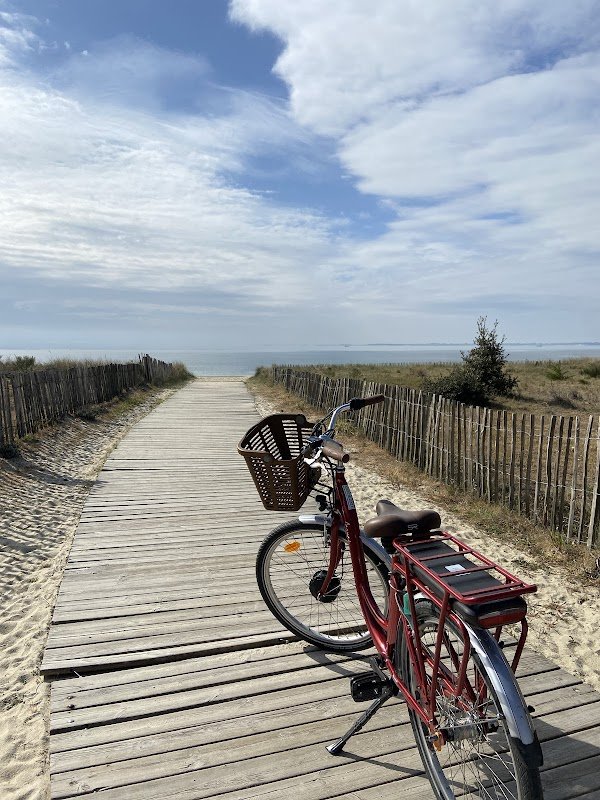 Veloc'Ouest by Marie la Fée Endormie - Livraison de vélos Réservation en ligne - MUZILLAC - Photo 4