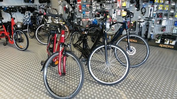 Abbis Bike Rental & rosalies - Photo 2