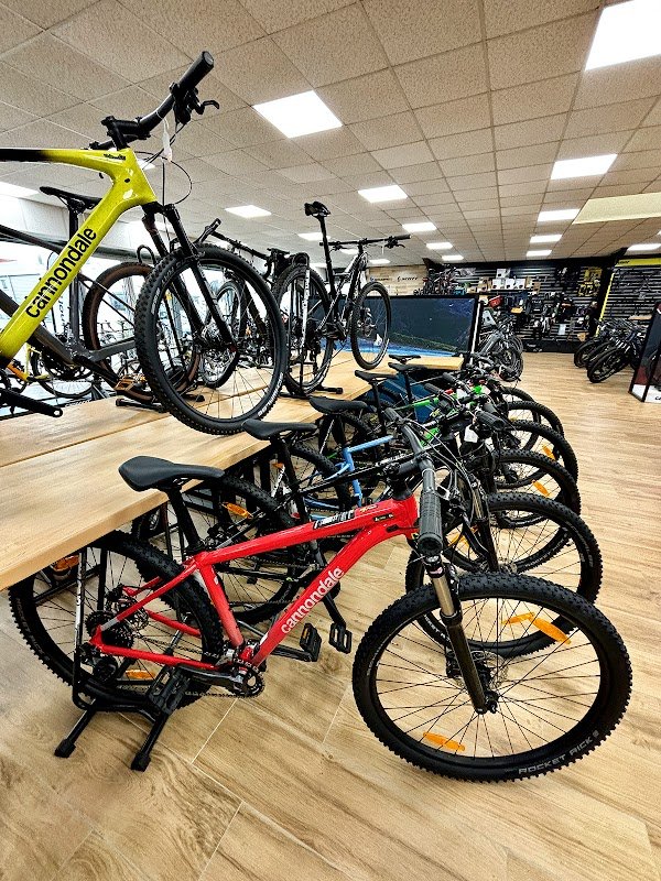 Vélo and Co - Photo 2