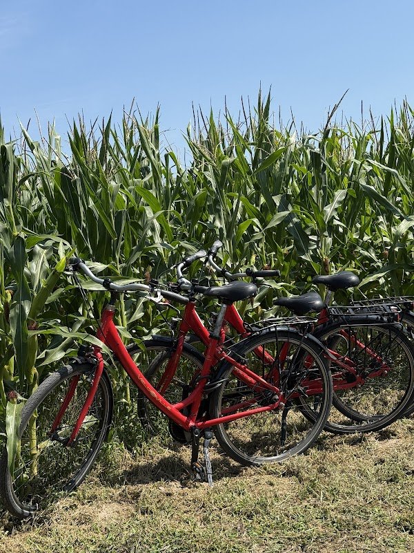 Véloc'ouest - Rental And Delivery Bike En Itinérance - Photo 3