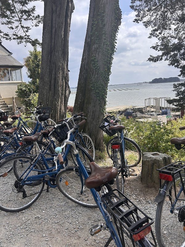L'île à vélo - Photo 2
