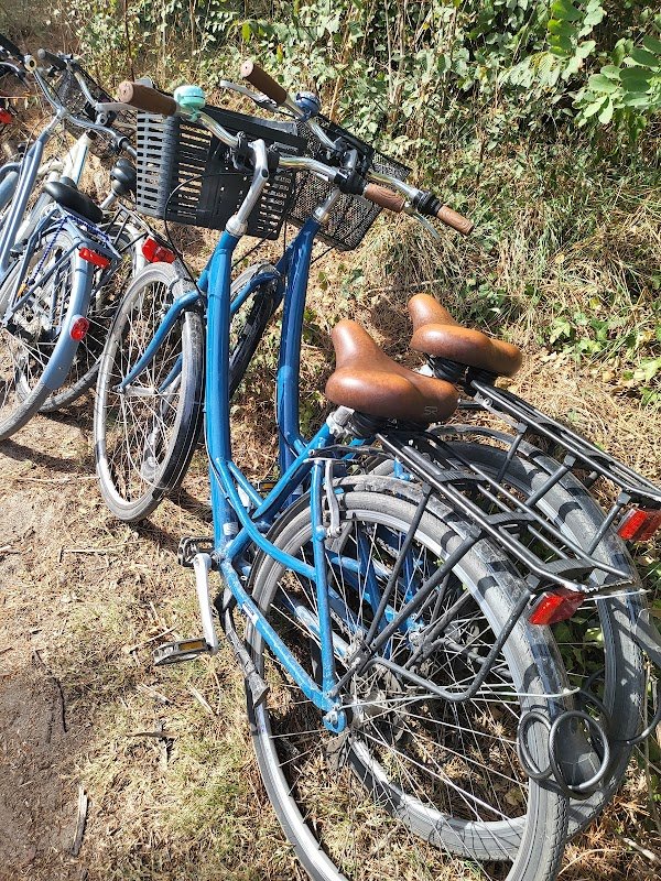 L'île à vélo - Photo 3