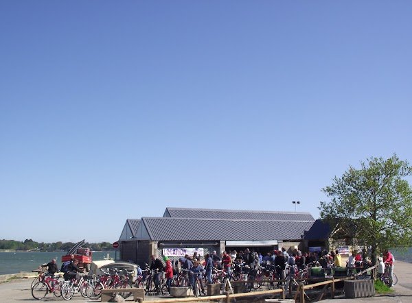 Location vélos île d'Arz - l'Arz et la Manière - Photo 3