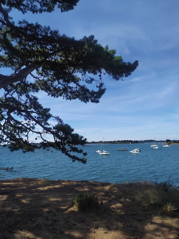 Location vélos île d'Arz - l'Arz et la Manière - Photo 4