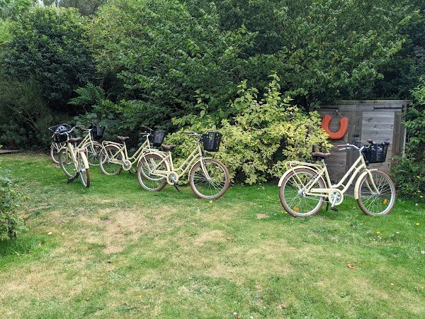 Delivelo Location - Photo 3