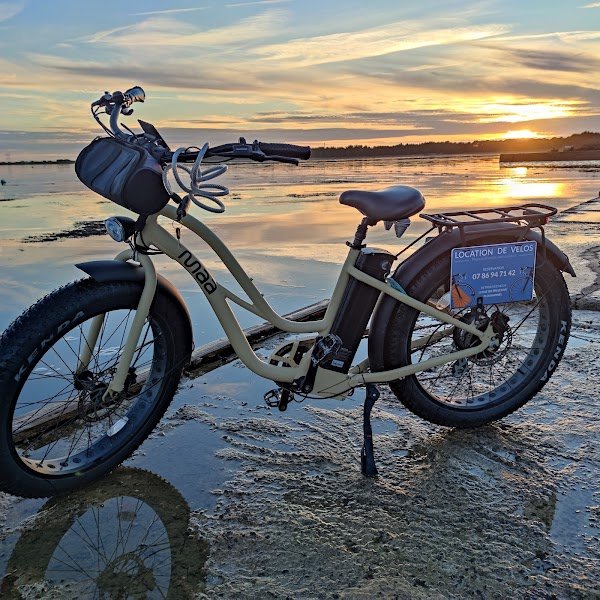 Location Vélos Plouharnel - Photo 4