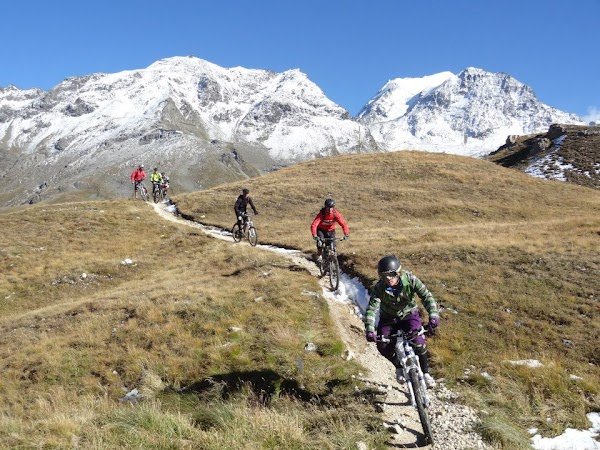 Vélo Labo, technicien indépendant, service en atelier sur rdv - Photo 4