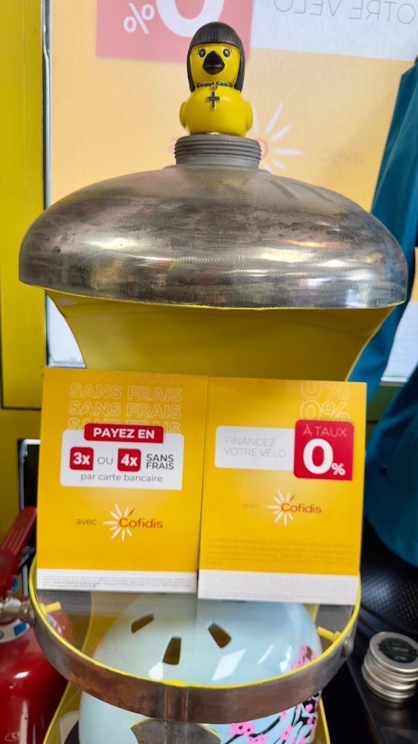 OURS VÉLOS - Photo 2