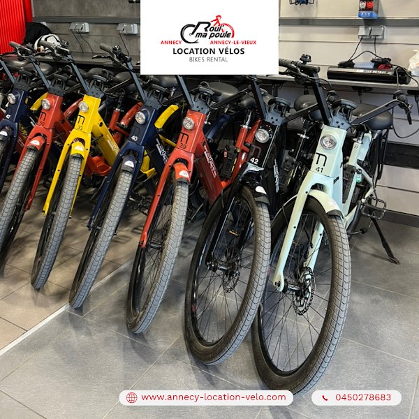 ROUL’ ma POULE location vélo Electrique Annecy - Photo 4