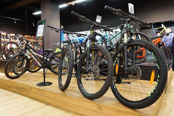 Two for Bike - Photo 4