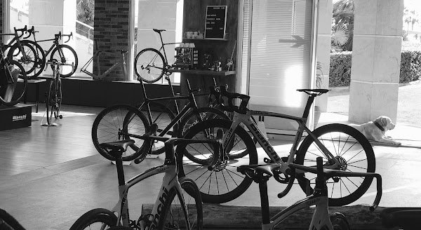 Golden Cycles - Photo 2