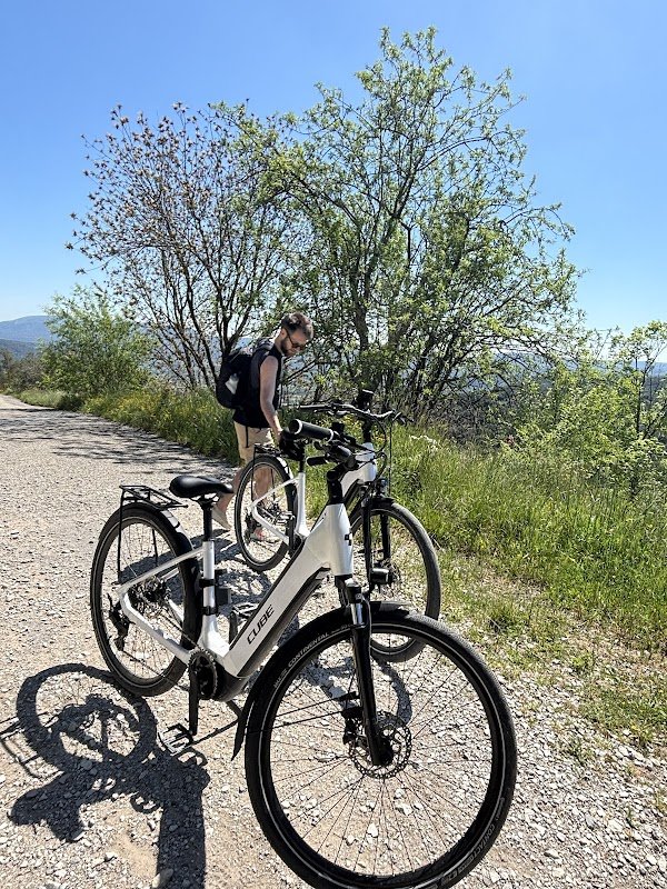 Face Sud / Location, Vente et Réparation de Vélos et VAE (Vélos à Assistance Electrique) - Photo 3